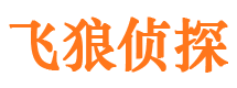 平山市调查取证